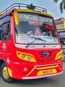 BENGAL TIGER bus