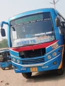 MAA PARBATI bus