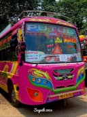 PUTUL bus