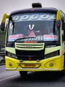 GOGOL bus
